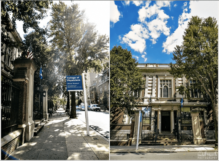 college of physicians - two little birds planning