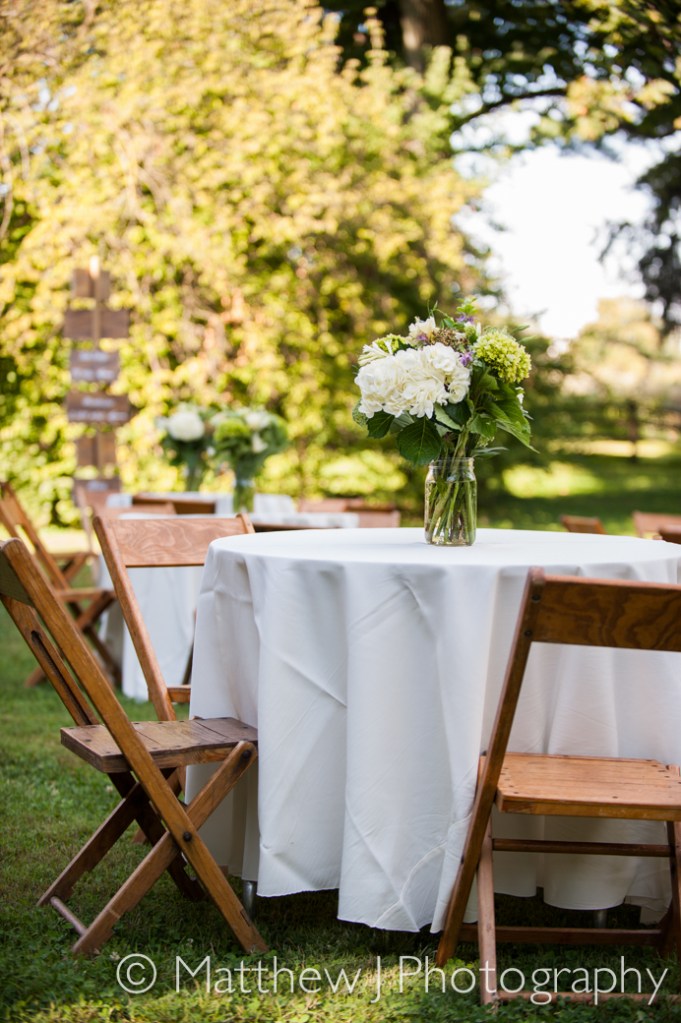 charlotte and charlie - two little birds planning