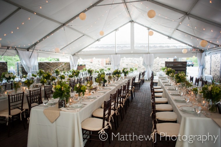 charlotte and charlie - two little birds planning