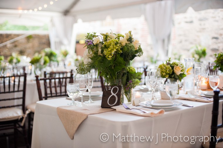 charlotte and charlie - two little birds planning