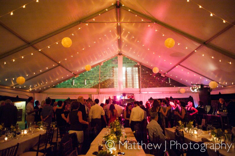 charlotte and charlie - two little birds planning