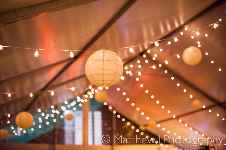 charlotte and charlie - two little birds planning