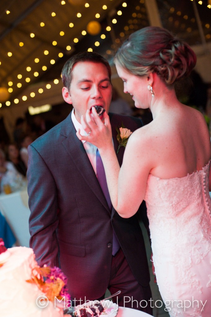 charlotte and charlie - two little birds planning