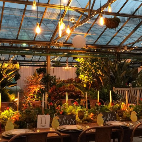 love is in the air 2015 - two little birds planning