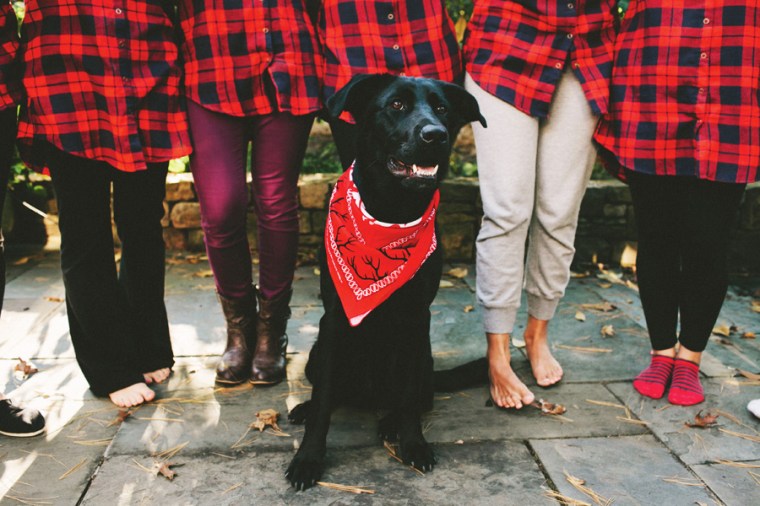 erica & joe - two little birds planning