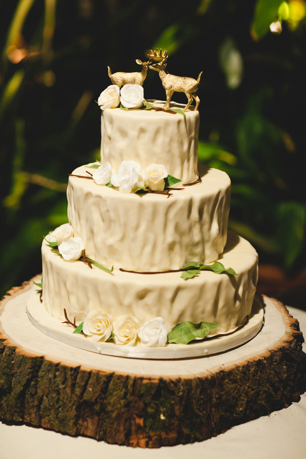 erica & joe - two little birds planning