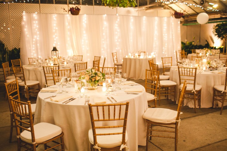 erica & joe - two little birds planning