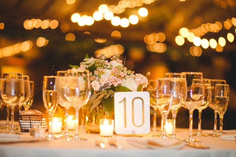 erica & joe - two little birds planning