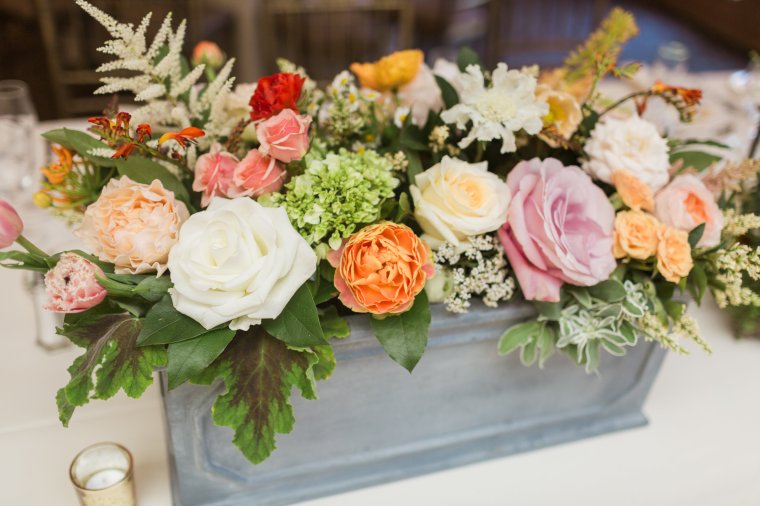 courtney & kit - two little birds planning