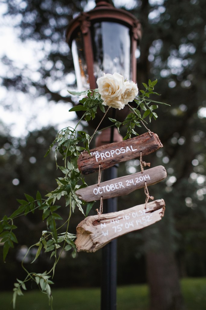 steph & tim - two little birds planning