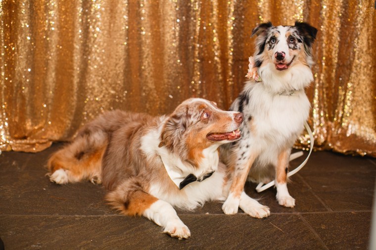 steph & tim - two little birds planning