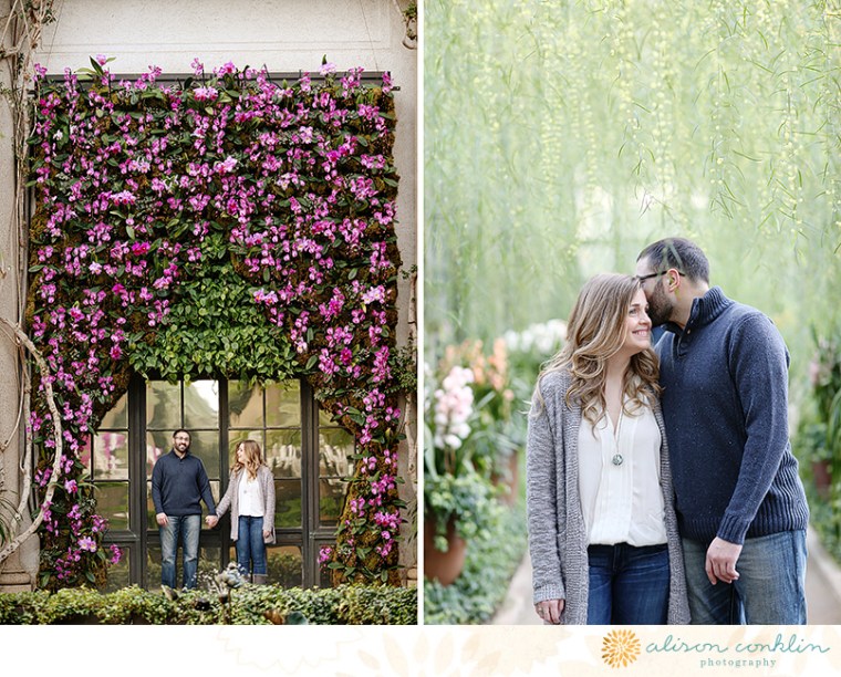 tarin and ramin engagement - two little birds planning