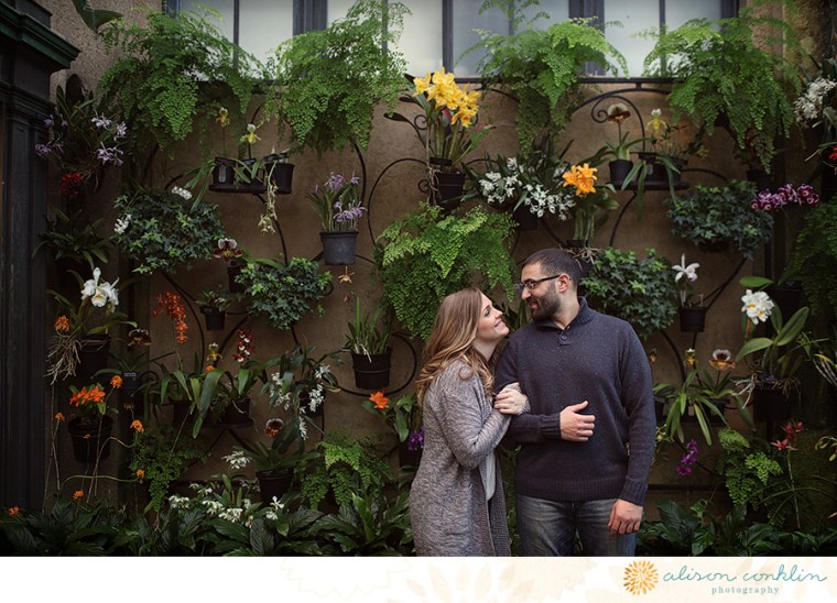 tarin and ramin engagement - two little birds planning