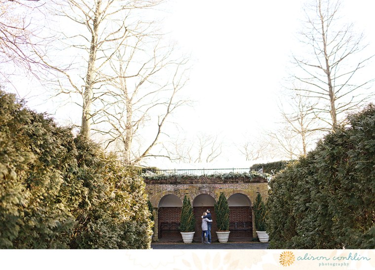 tarin and ramin engagement - two little birds planning