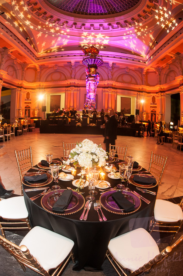 hali & matt - two little birds planning