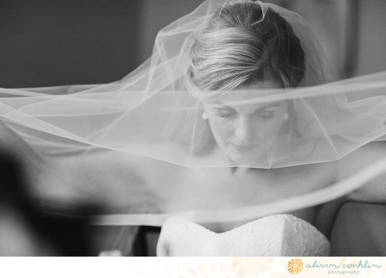 tarin and ramin - two little birds planning