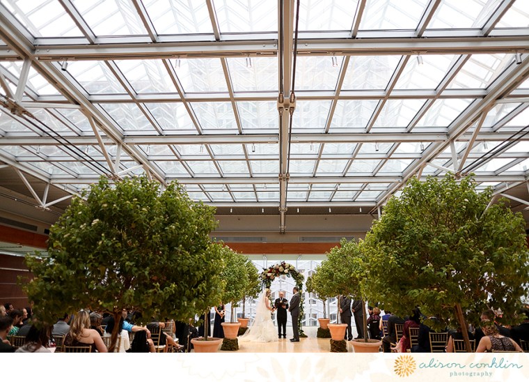 tarin and ramin - two little birds planning