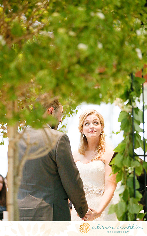 tarin and ramin - two little birds planning