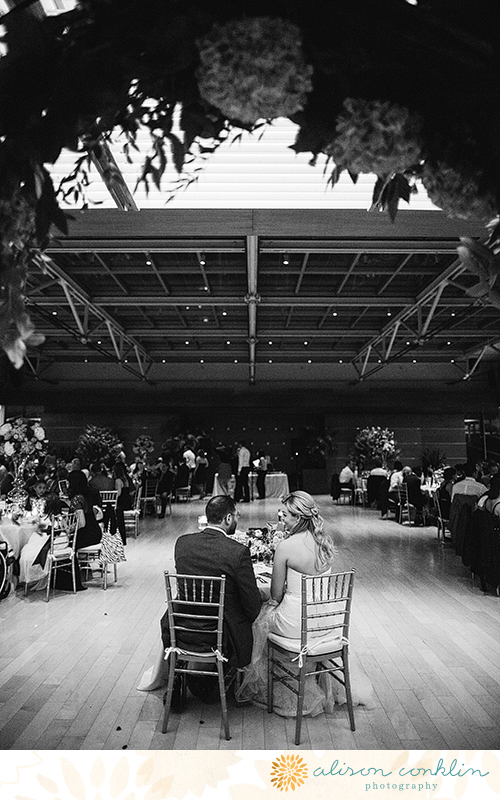 tarin and ramin - two little birds planning