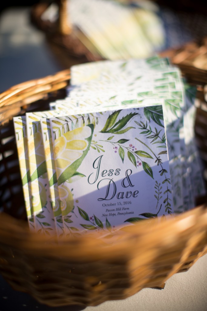 jess & dave - two little birds planning