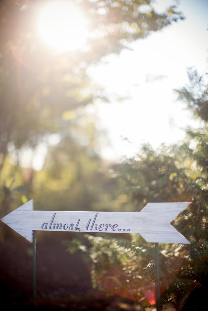 jess & dave - two little birds planning