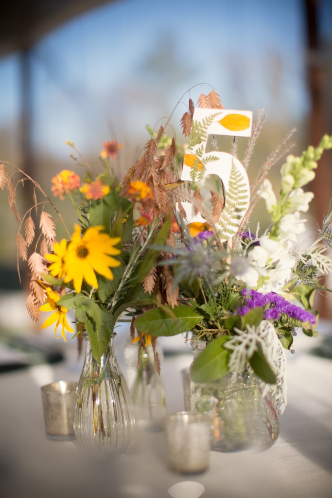 jess & dave - two little birds planning