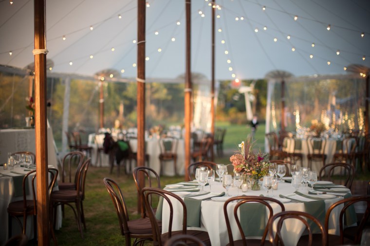 jess & dave - two little birds planning