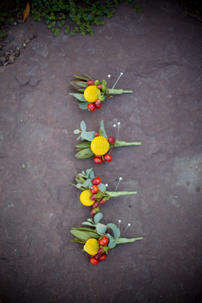 jess & dave - two little birds planning