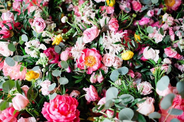 steph and matt - two little birds planning