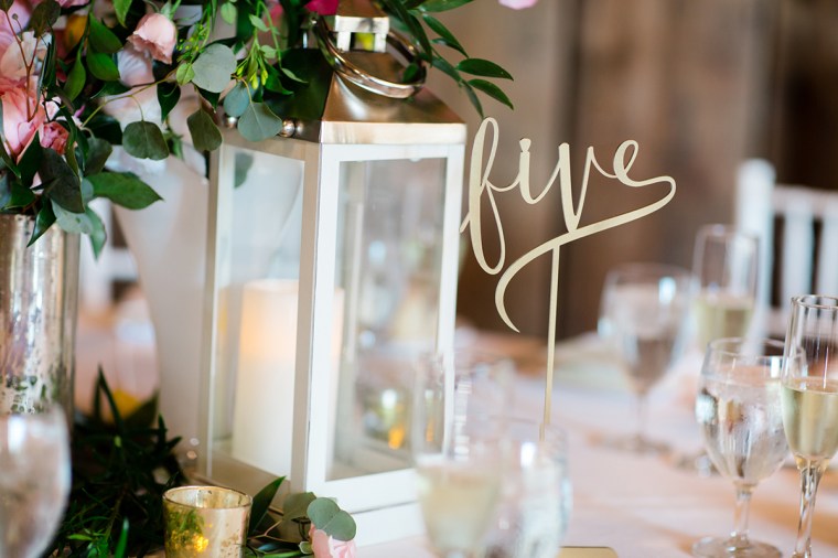 steph and matt - two little birds planning