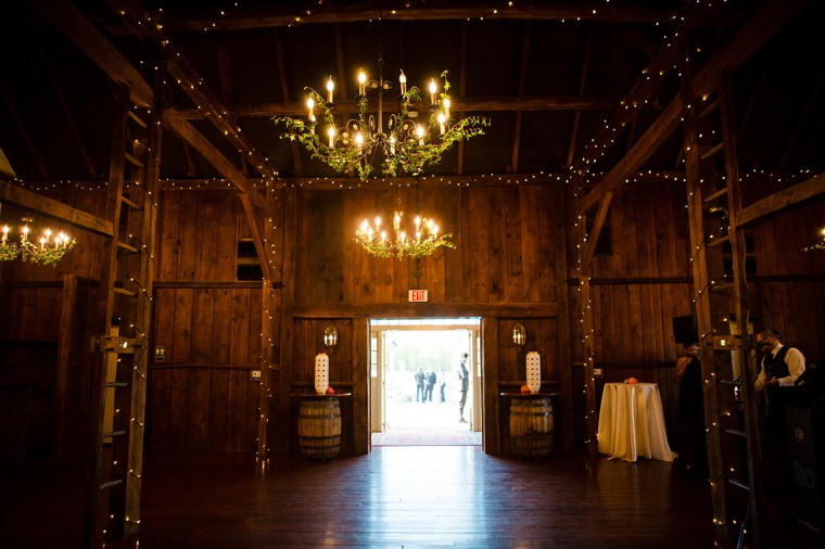 steph and matt - two little birds planning