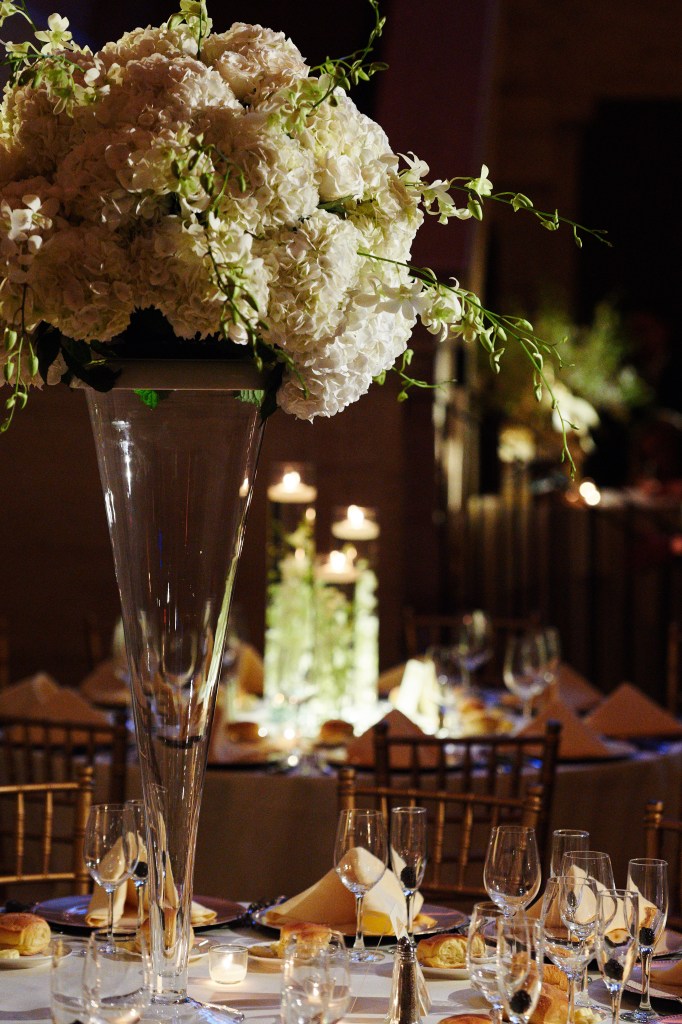 shannon & bob - two little birds planning